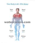 Water care Alkaline water 